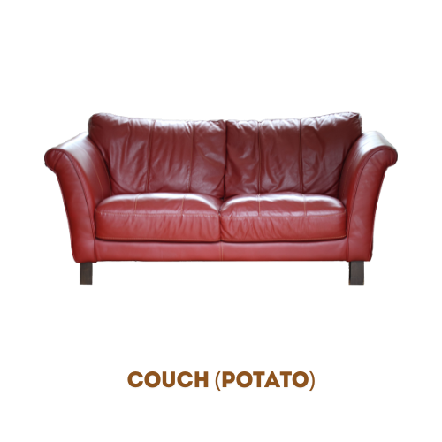 Couch for home