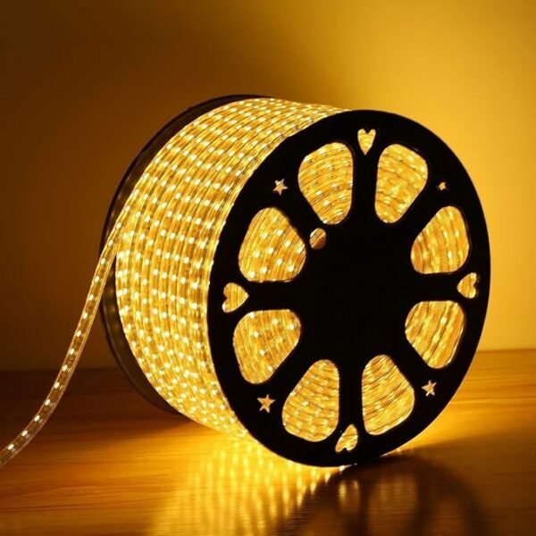 Desidiya 30 Meter LED Rope Light for Decoration