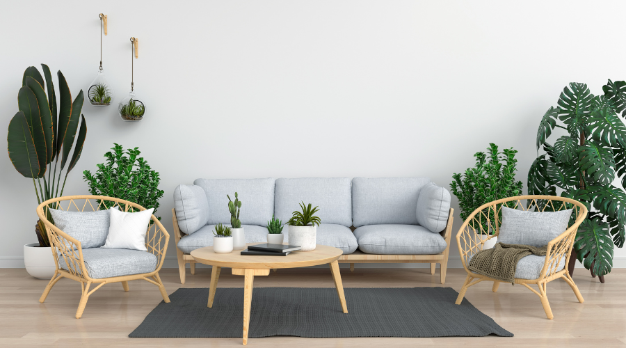 Living room with plants